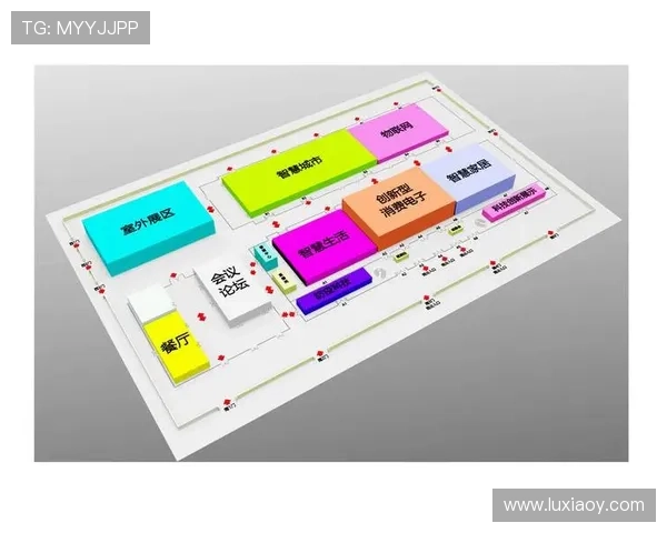聚焦亚洲四强格局变迁与竞争态势下的未来走向观察深度解析区域力量博弈